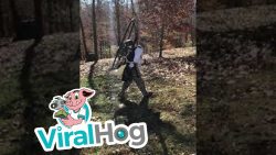 den garten ganz schnell frei vom