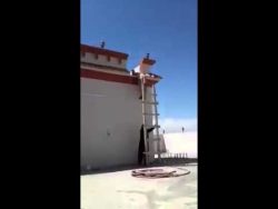 der beruehmte leiter streich