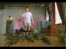 Der Fuchs-Kragen lebt ja noch der fuchs kragen lebt ja noch