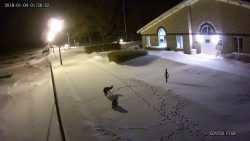 der fuchs und die eule im schnee