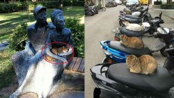 der perfekte platz zum schlafen