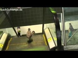 der vogel und die rolltreppe