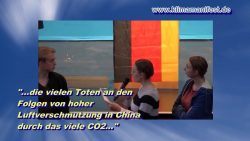 die afd und das co2