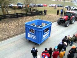 die besten flaschen sind immer i