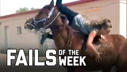 Die besten Missgeschicke Juli 2020 die besten missgeschicke juli 20