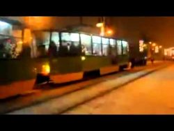 die besten schwachkoepfe sind se