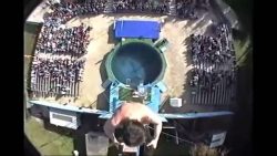 die besten stunts der welt