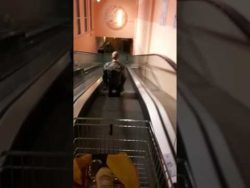 Die "Bier Rutsche" wurde erfunden die bier rutsche wurde erfunden