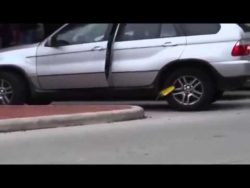 die frau und die parkkralle 1