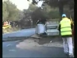 Die Glückspilze des Tages die glueckspilze des tages