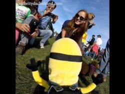 Die Hunde Minions sind unterwegs die hunde minions sind unterwegs