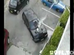 Die Katze im Garten erschrecken die katze im garten erschrecken