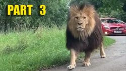 die unglaublichsten begegnungen