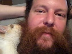 diese katze steht auf baertige m