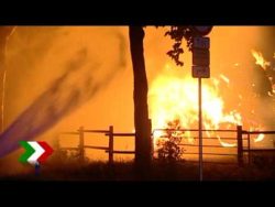 dieses heu brennt ganz gut