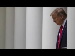 Donald Trump und das Coronavirus – in Zitaten donald trump und das coronavirus