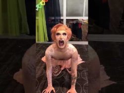 Drag Queen röhrt wie ein Hirsch bei Travestieschau drag queen roehrt wie ein hirsch