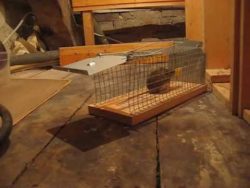 Du bist frei, wirst aber gleich überfahren du bist frei wirst aber gleich u