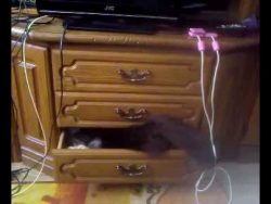 Du wirst mich niemals finden du wirst mich niemals finden