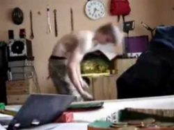 dummheit tut richtig weh