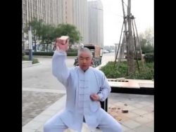 eier training im kung fu