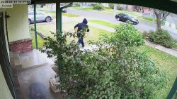 Ein ekliges Weihnachtsgeschenk für den Paketdieb ein ekliges weihnachtsgeschenk f