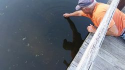 einen fisch mit der hand fangen