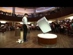 einfach mal nur die balance halt