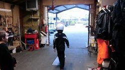 Einparken wie ein Profi einparken wie ein profi