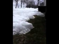 eis wandert auf dem land entlang