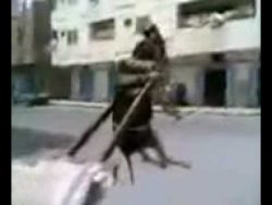 Esel hängt ab bei der Arbeit esel haengt ab bei der arbeit