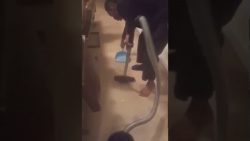 fachkraefte bei der arbeit