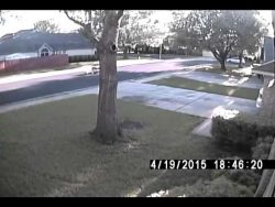 fahrraddieb wird gefangen