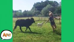 FAILING Through the FIELDS! | Funnies and Fails failing through the fields funni