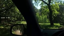 Familie steigt im Safari Park aus dem Auto familie steigt im safari park au