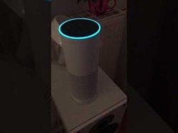 FC Bayern - Kackverein hat verloren fc bayern kackverein hat verlore