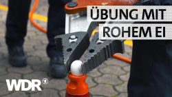 Feuerwehr-Olympiade mit Herausforderungen feuerwehr olympiade mit herausfo