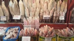 fischmarkt bei 49 grad