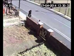 frau beeindrucken wollen und auf