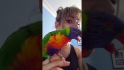 frau und papagei gemeinsam am fa