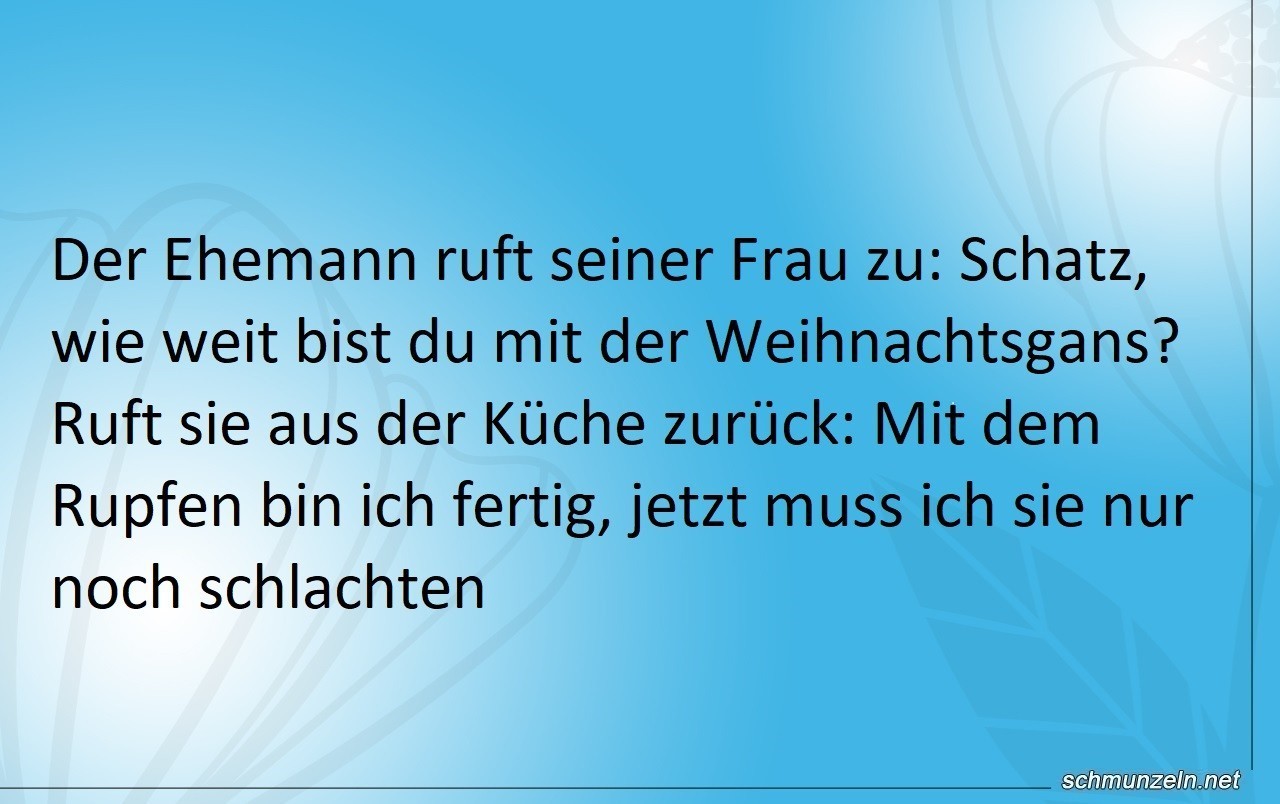 Schatz, wie weit bist du mit der Weihnachtsgans? Schatz, wie weit bist du mit der Weihnachtsgans?