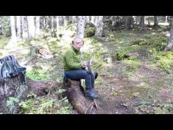 frecher eichhoernchen dieb