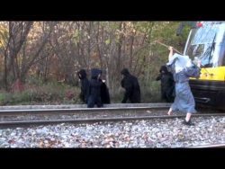 Gandalf greift in den Bahnverkehr ein gandalf greift in den bahnverkeh