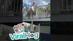 Ganz schnell den Müll wegbringen ganz schnell den muell wegbringe