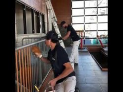 ganz schnell und einfach ein gel