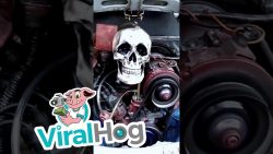 Gib mal so richtig viel Gas im Auto gib mal so richtig viel gas im a