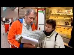 Griechisches Restaurant – Umfrage zum Essen griechisches restaurant umfrage