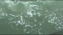 grosser hai erschreckt angler