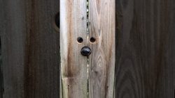 guckloch fuer einen hund