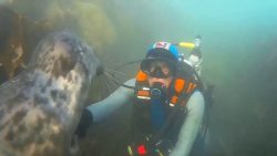 Guten Tag unter Wasser sagen guten tag unter wasser sagen